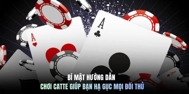 Bí mật hướng dẫn chơi Catte giúp bạn hạ gục mọi đối thủ