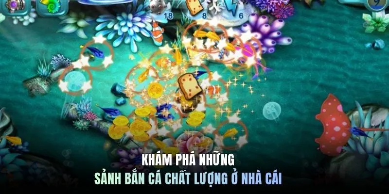 Khám phá những sảnh bắn cá chất lượng ở nhà cái 