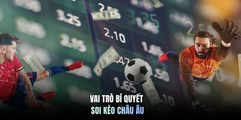 Vai trò bí quyết soi kèo Châu Âu